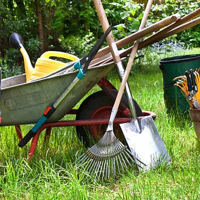 Wheelbarrow primary image