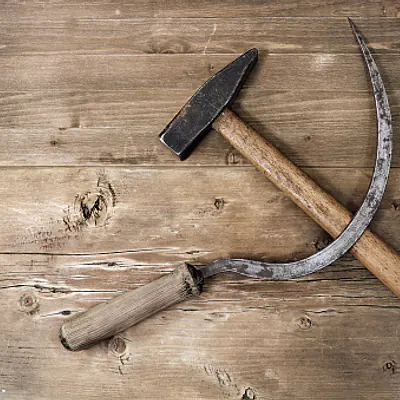 Sickle primary image