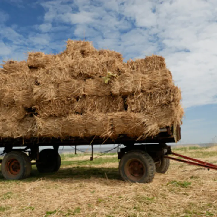 Manure Drag - Master