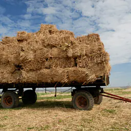Manure Drag - Master